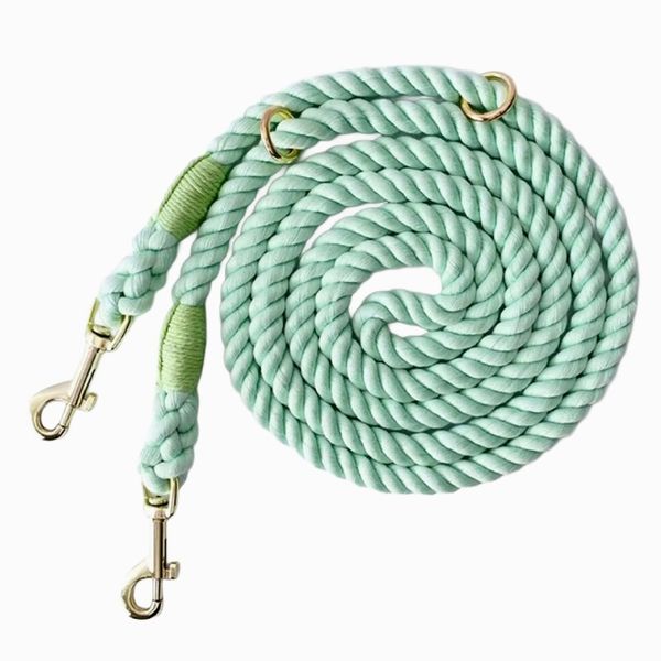 Leashes + Collars
