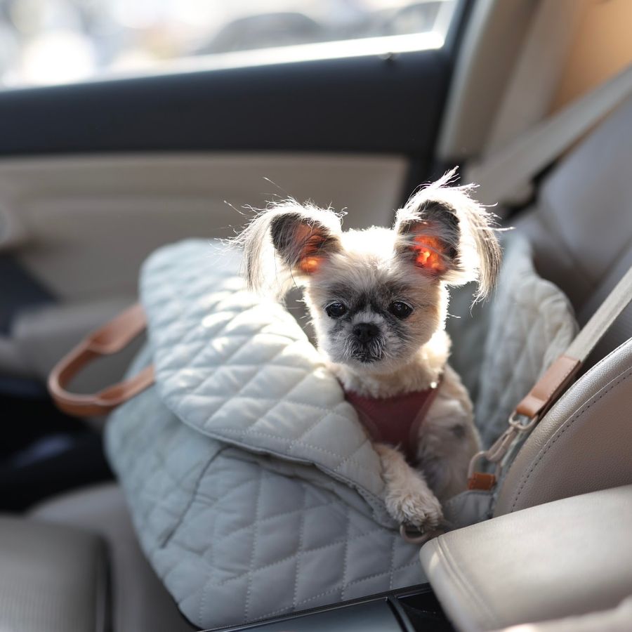 Gray 3-in-1 Pet Carrier