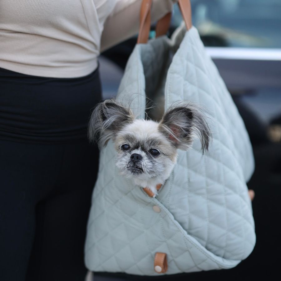 Gray 3-in-1 Pet Carrier