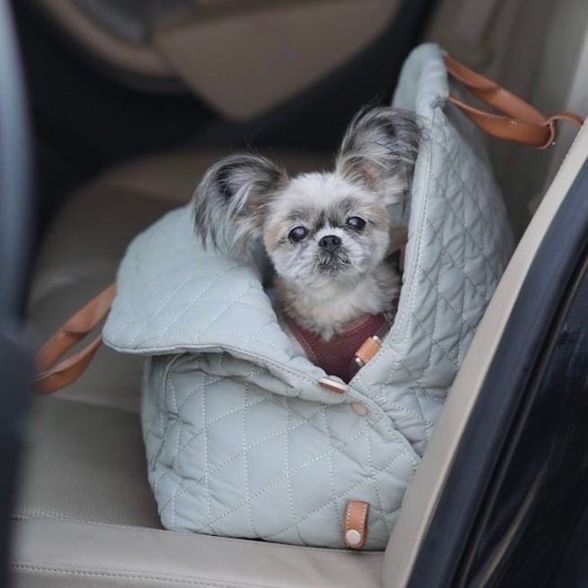 Gray 3-in-1 Pet Carrier
