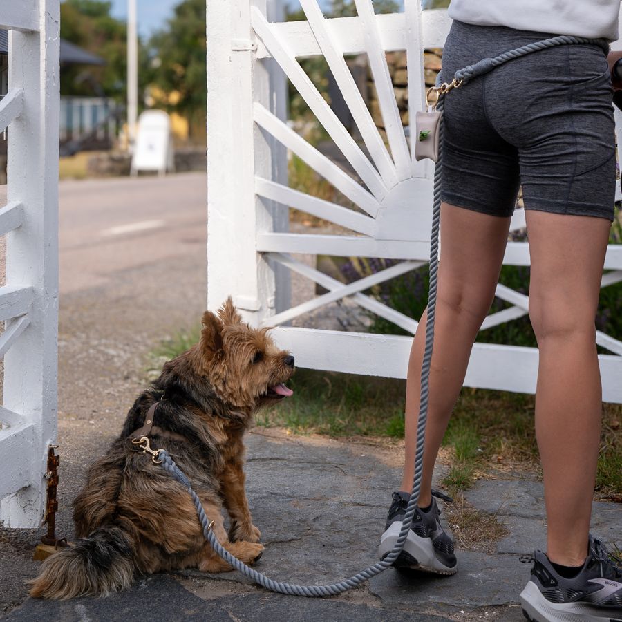 Black Handsfree Leash