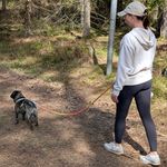 Heavy-duty braided rope dog lead with adjustable metal rings and two heavy-duty clips, shown in a hands-free around the waist configuration.