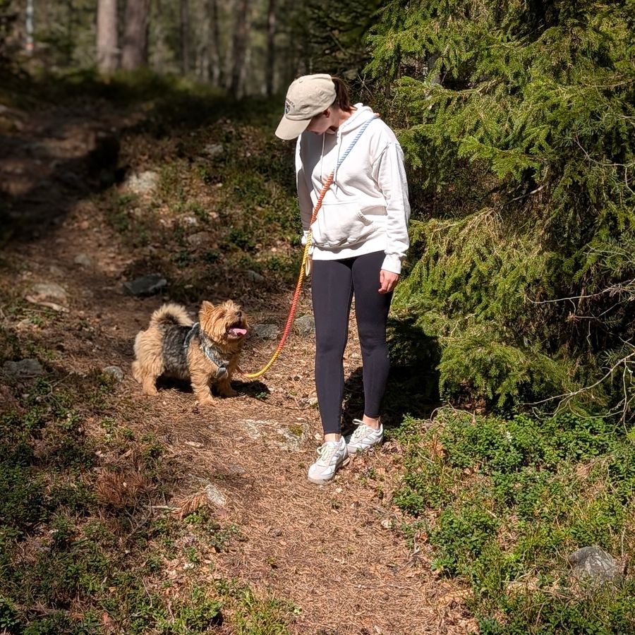 Pink Handsfree Leash