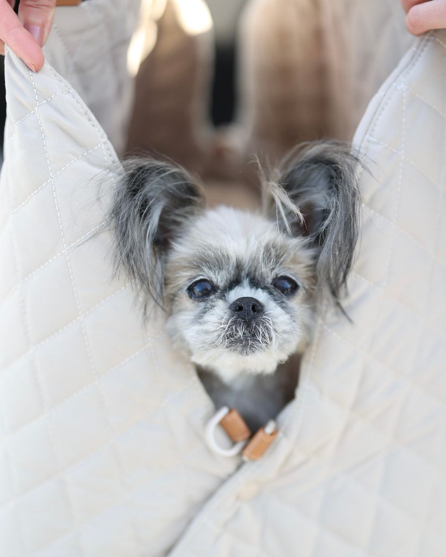 Beige 3-in-1 Pet Carrier