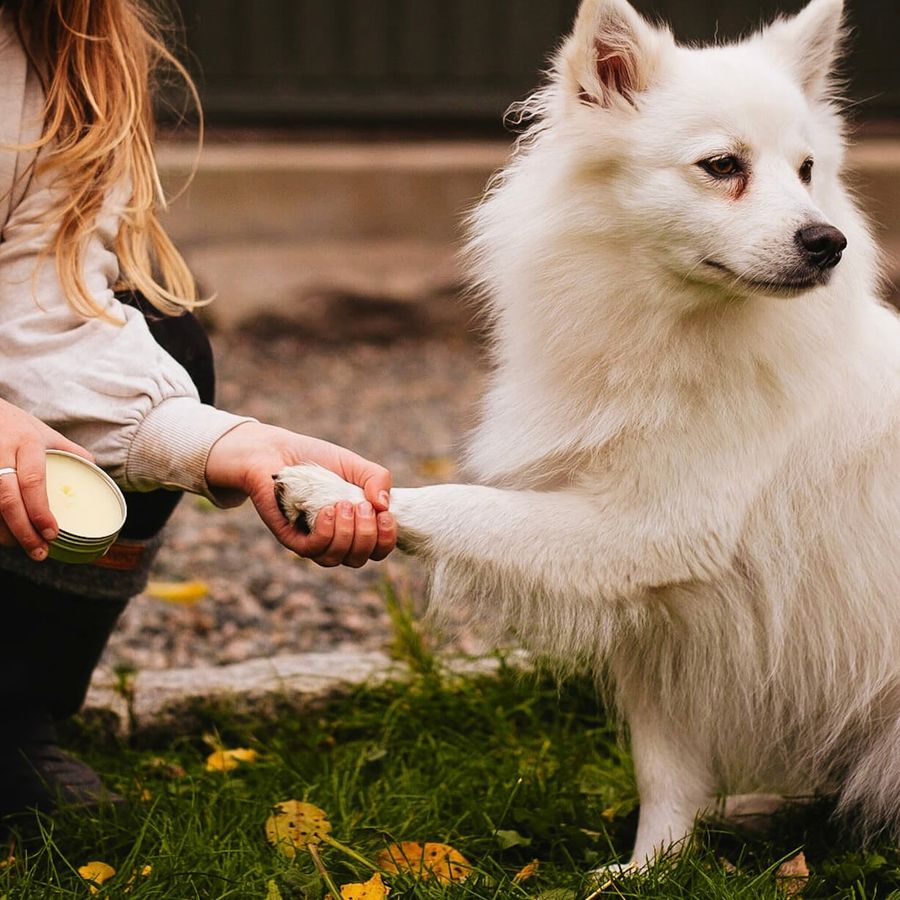 Paw Cream