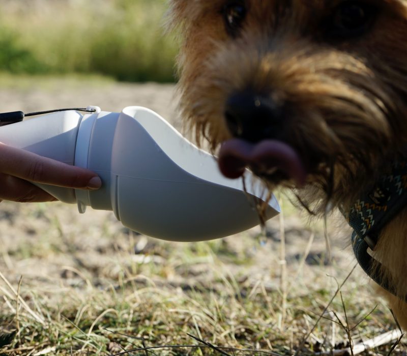 Water Bottle - Image 7