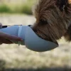 Water Bottle - Image 2
