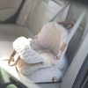 3-in-1 Pet Carrier - Image 3