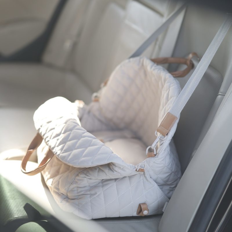 3-in-1 Pet Carrier - Image 2