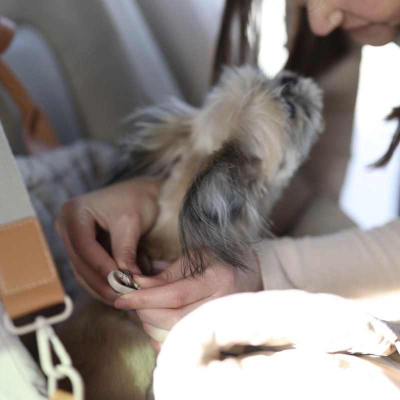 3-in-1 Pet Carrier - Image 7