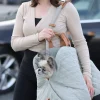 3-in-1 Pet Carrier - Image 5