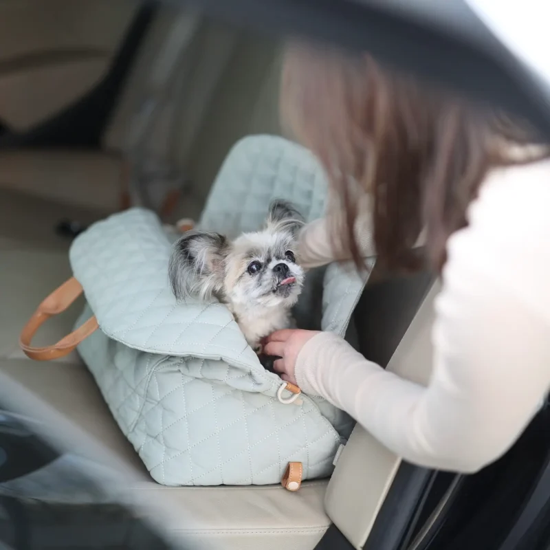 3-in-1 Pet Carrier - Image 3