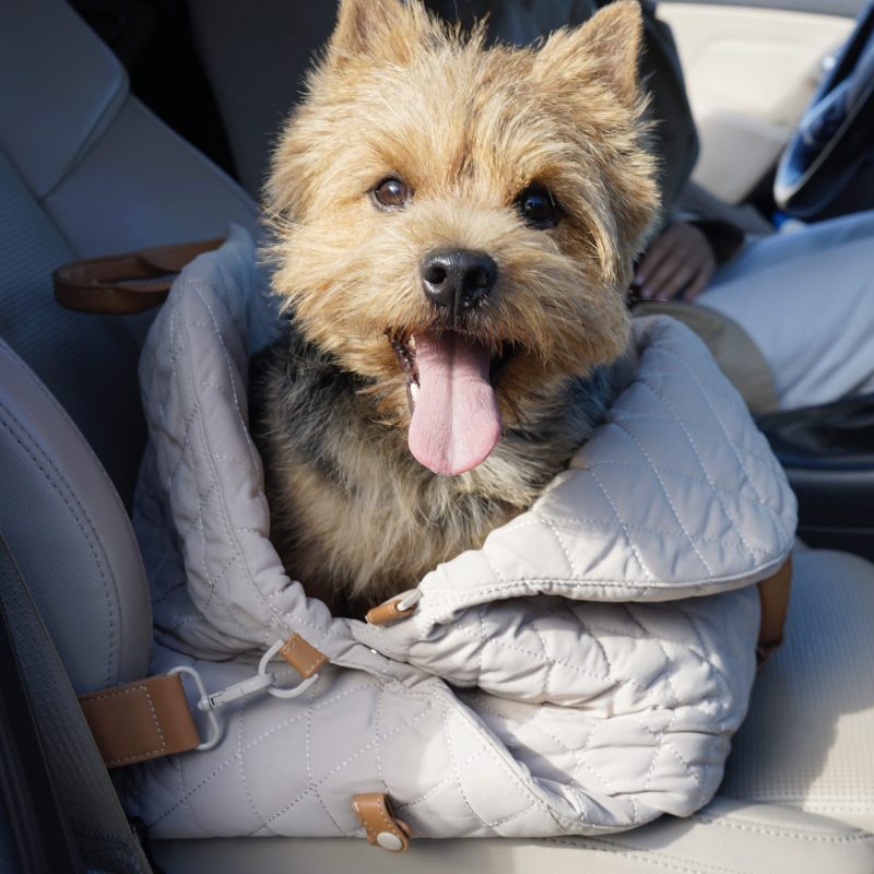 3-in-1 Pet Carrier - Image 6