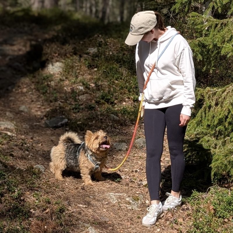 Multifunctional Leash - Image 5