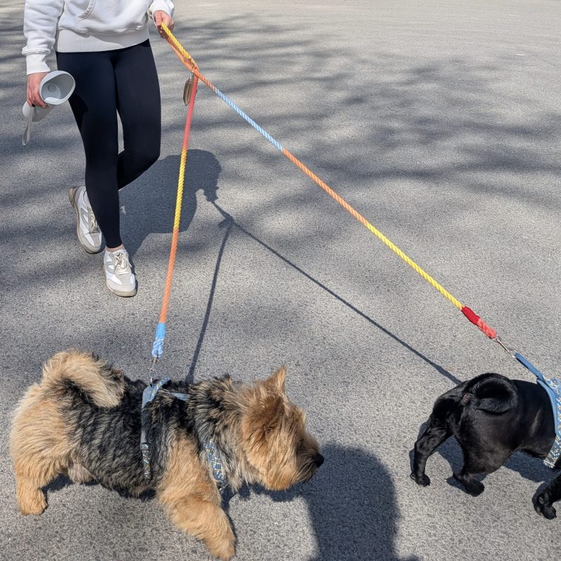 Multifunctional Leash - Image 6