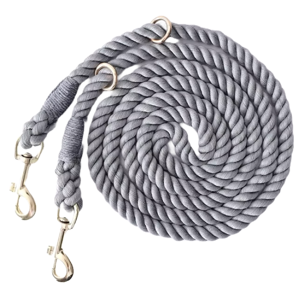 Gray Leash