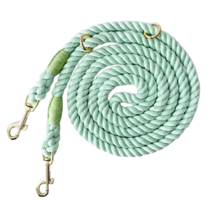 Mint Leash