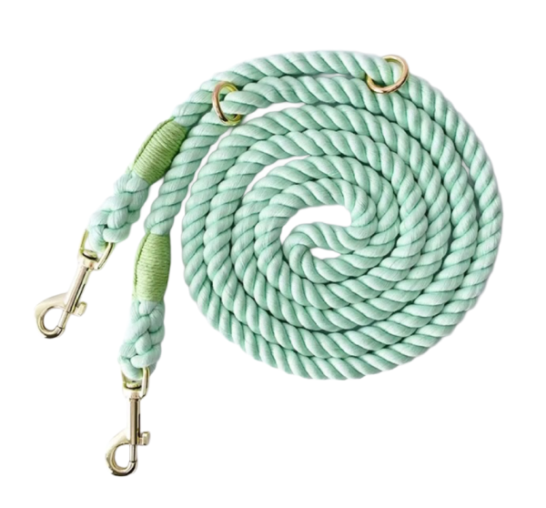 Mint Leash